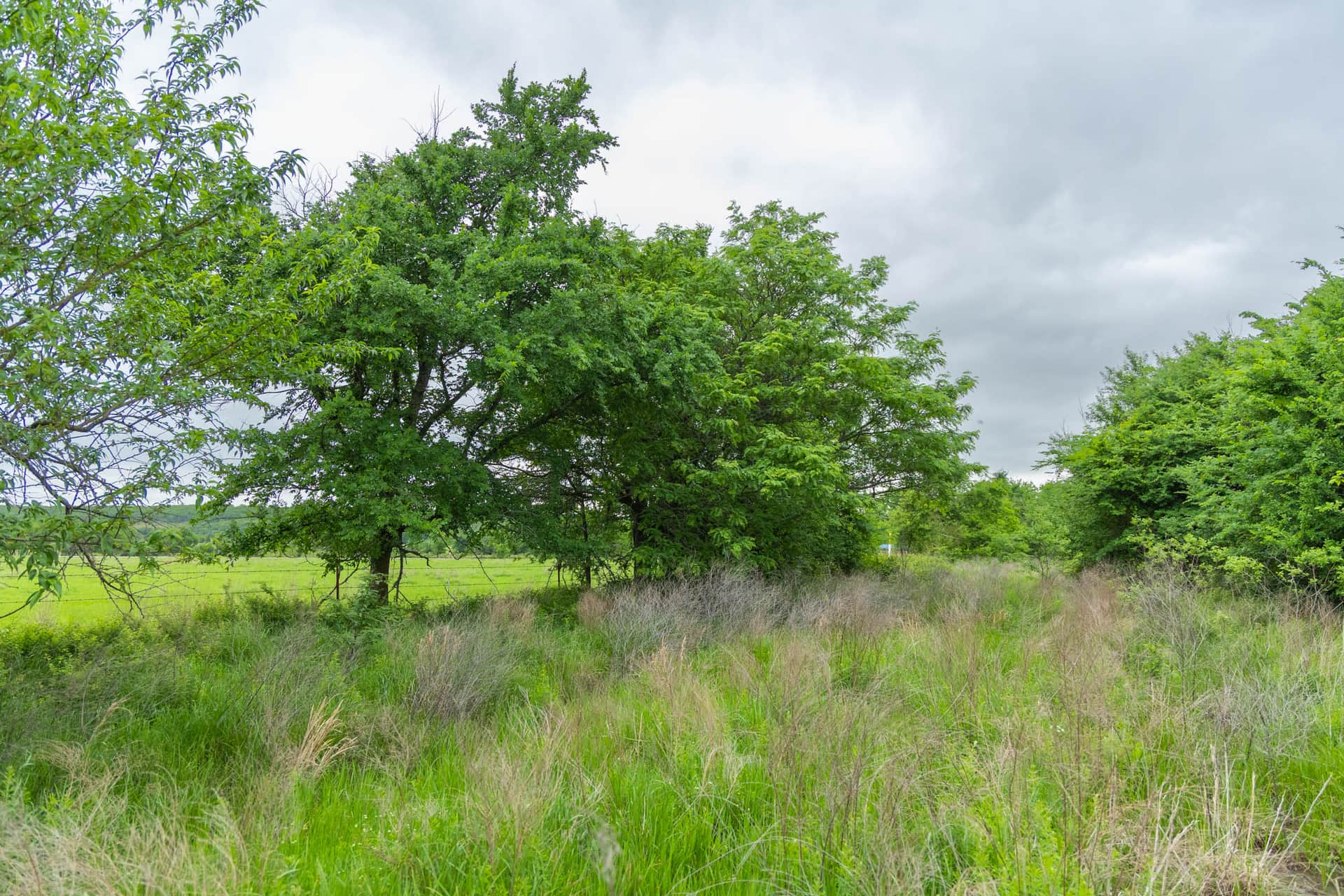 Harmony Hills, Tract 1, 5.17 acres in Pittsburg County, Oklahoma (photo 1 of 20)