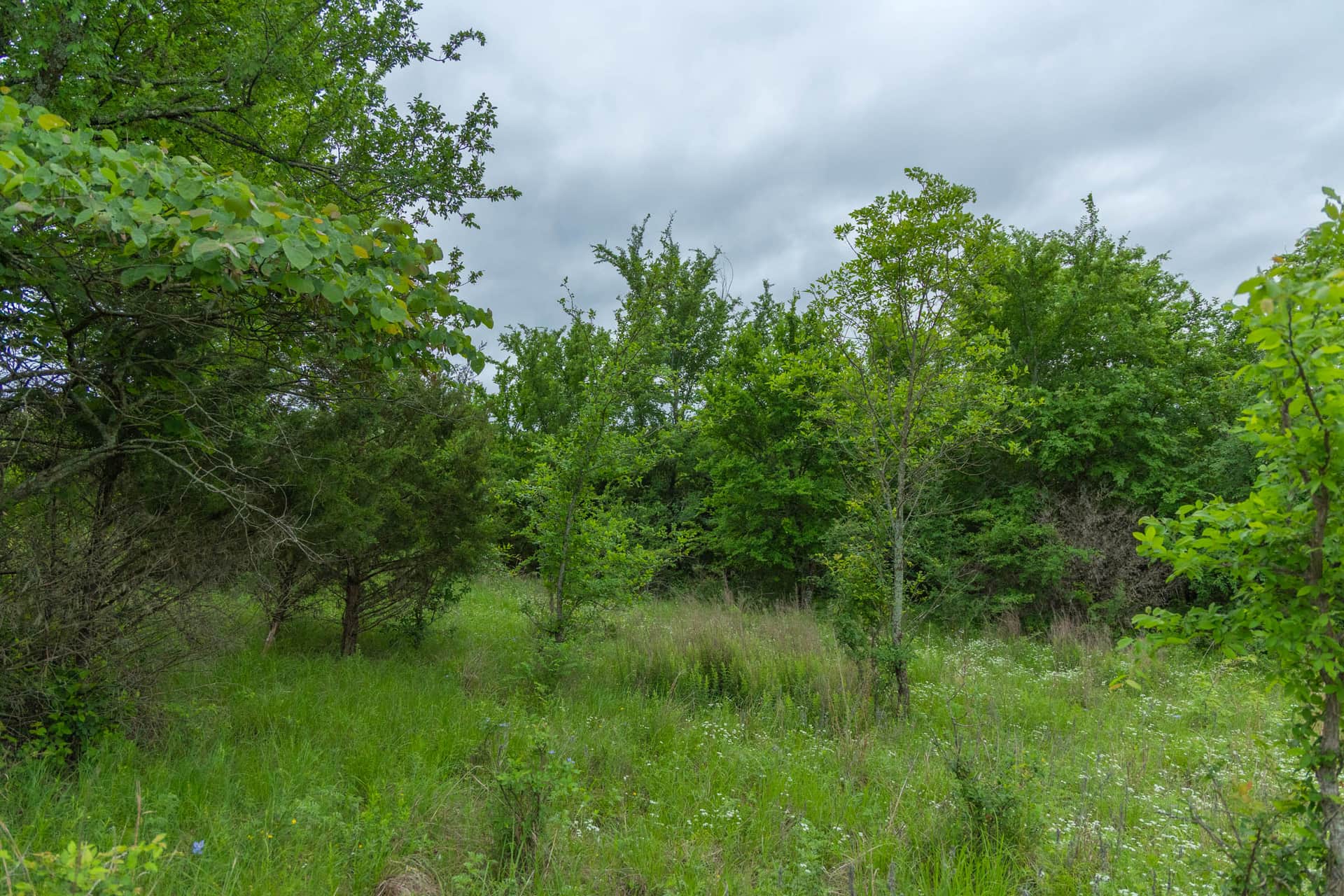 Harmony Hills, Tract 2, 5.17 acres in Pittsburg County, Oklahoma (photo 1 of 13)
