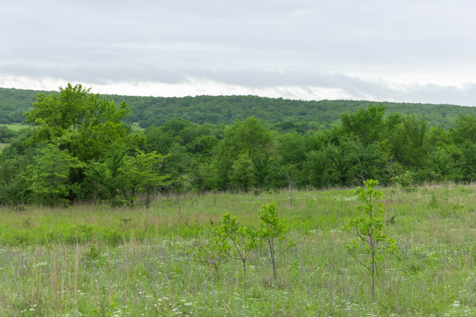 Harmony Hills, Tract 3, 4.82 acres in Pittsburg County, Oklahoma (photo 1 of 12)