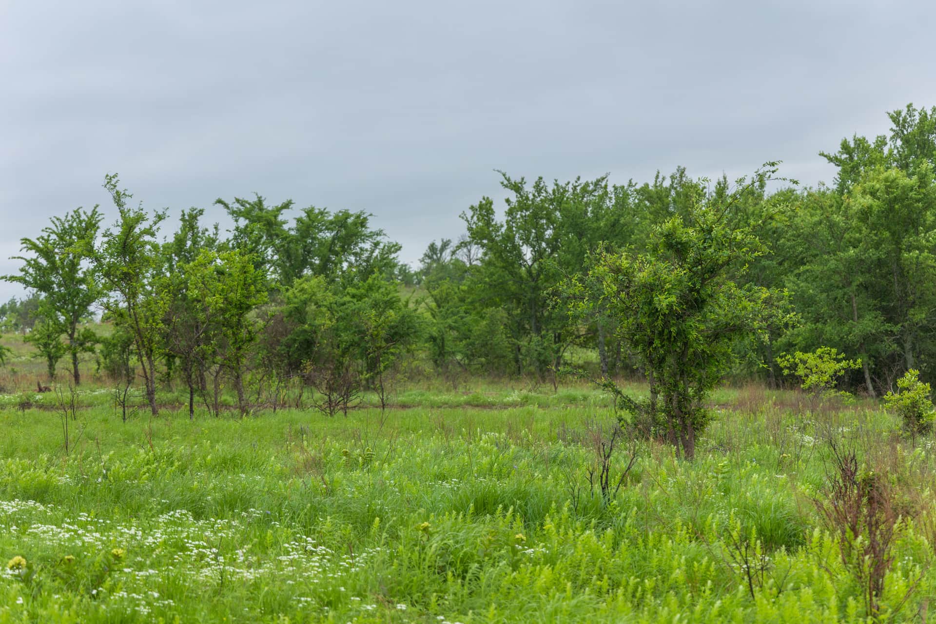 Harmony Hills, Tract 4, 4.82 acres in Pittsburg County, Oklahoma (photo 1 of 13)