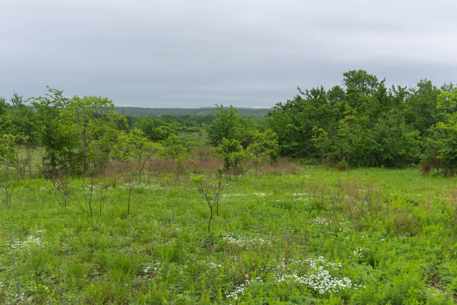 Harmony Hills, Tract 6, 4.99 acres in Pittsburg County, Oklahoma (photo 1 of 12)