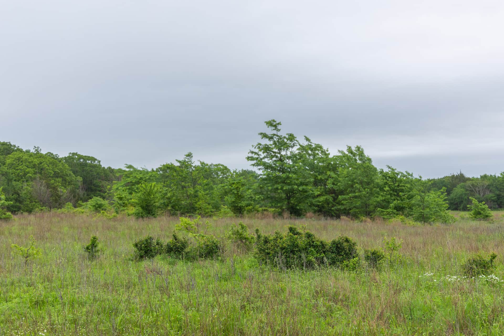 Harmony Hills, Tract 7, 5.20 acres in Pittsburg County, Oklahoma (photo 1 of 15)