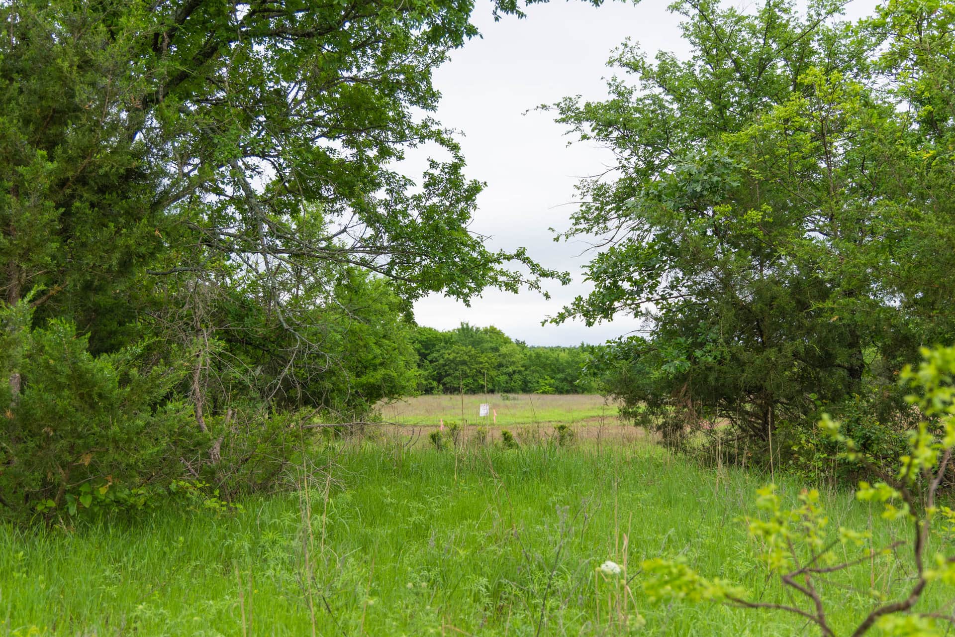 Harmony Hills, Tract 9, 4.78 acres in Pittsburg County, Oklahoma (photo 1 of 16)