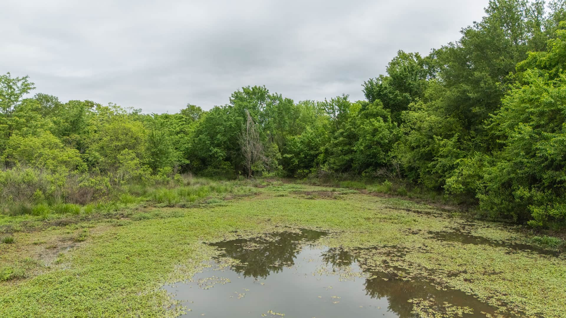 Harmony Hills, Tract 12, 5.13 acres in Pittsburg County, Oklahoma (photo 1 of 13)