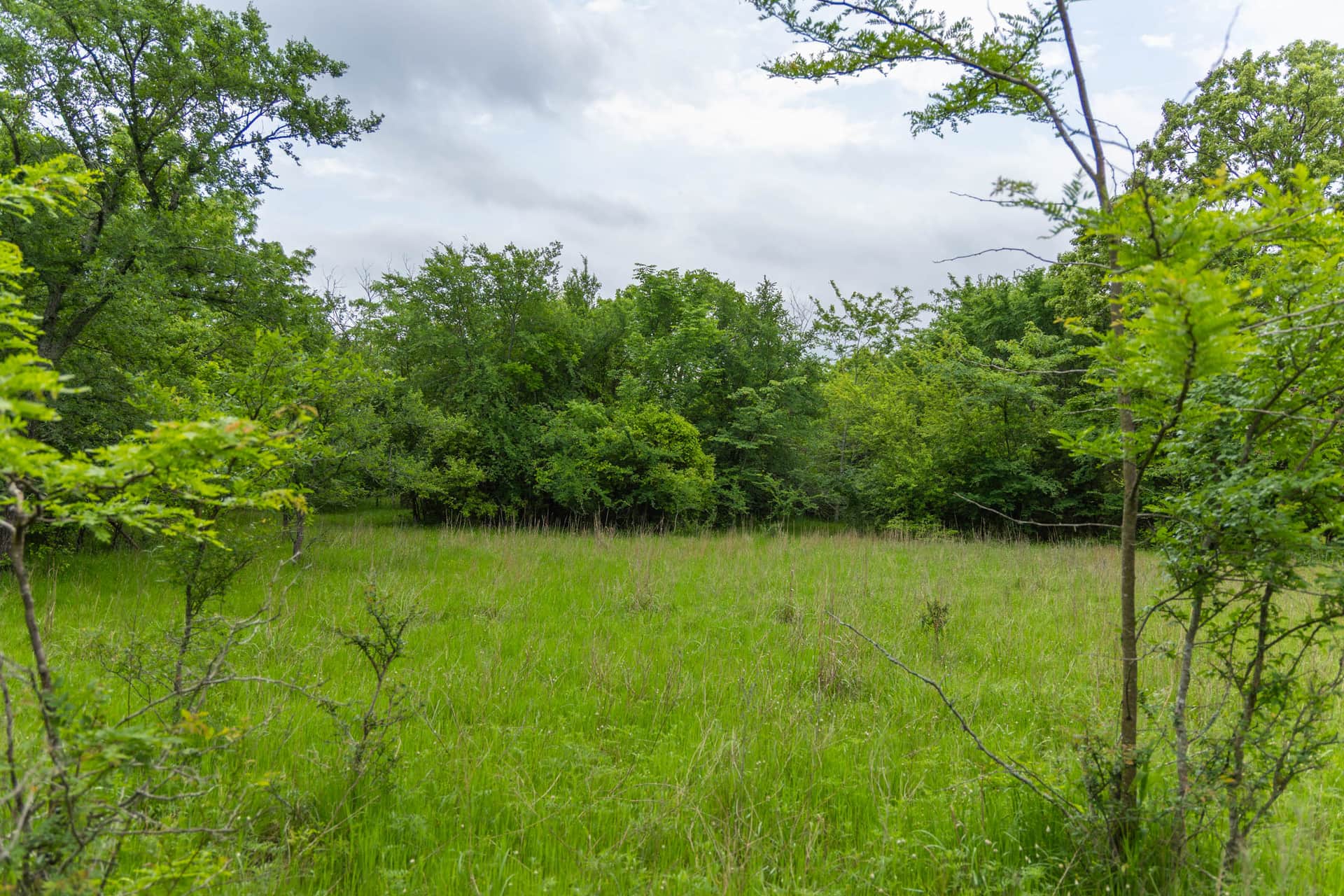 Harmony Hills, Tract 10, 5.25 acres in Pittsburg County, Oklahoma (photo 1 of 17)