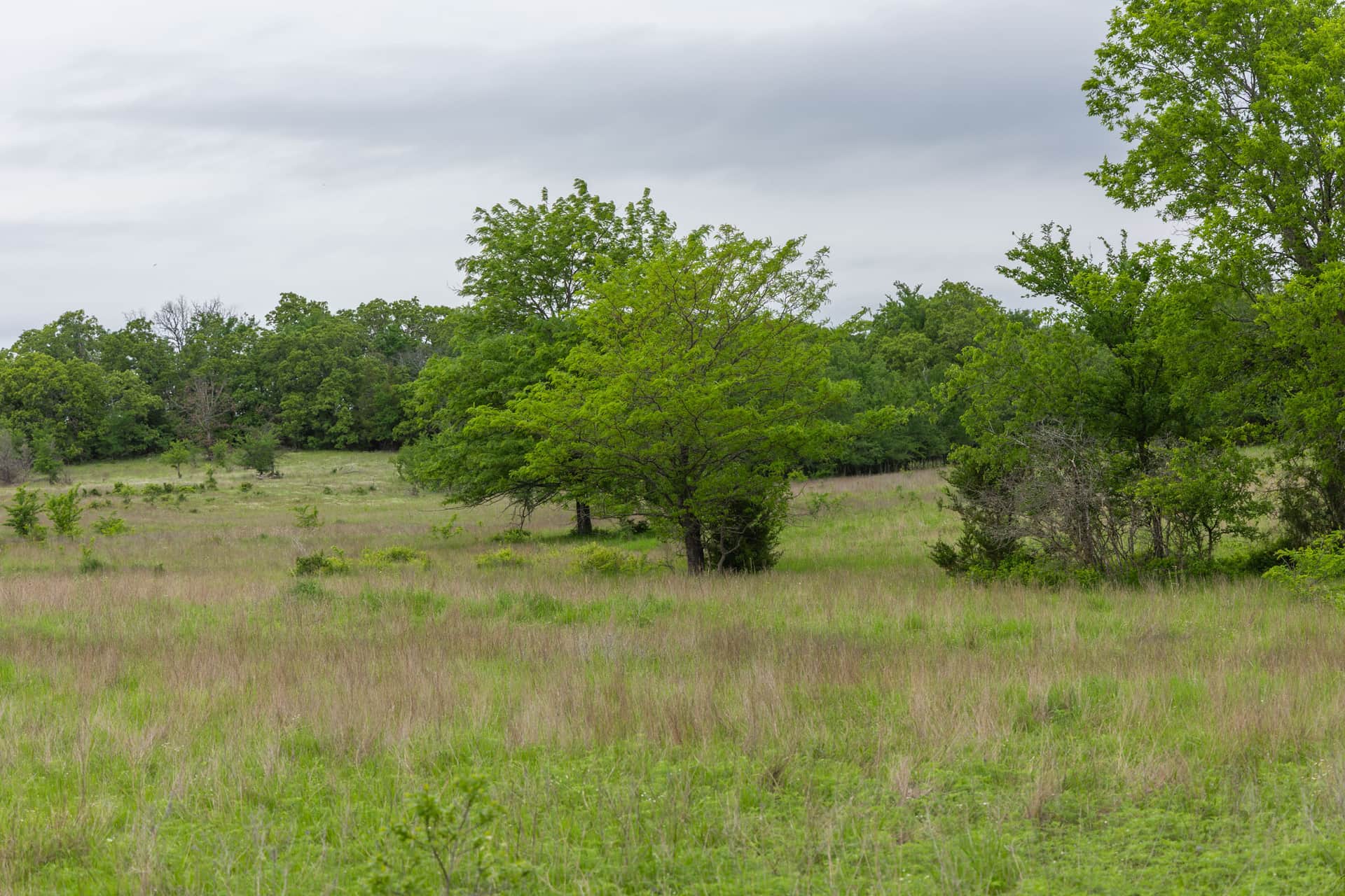 Harmony Hills, Tract 11, 6.02 acres in Pittsburg County, Oklahoma (photo 1 of 14)