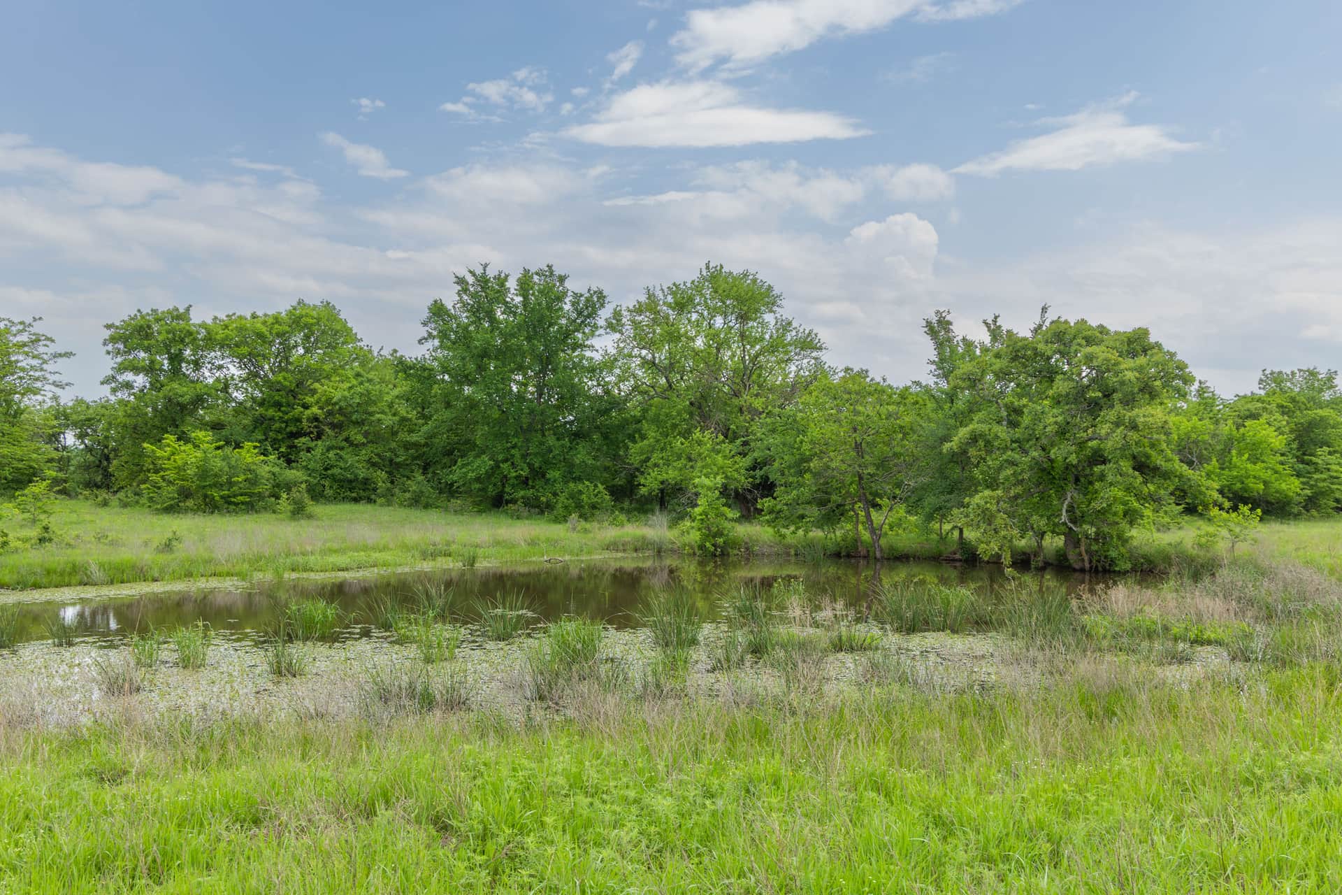 Harmony Hills, Tract 15, 5.67 acres in Pittsburg County, Oklahoma (photo 1 of 16)