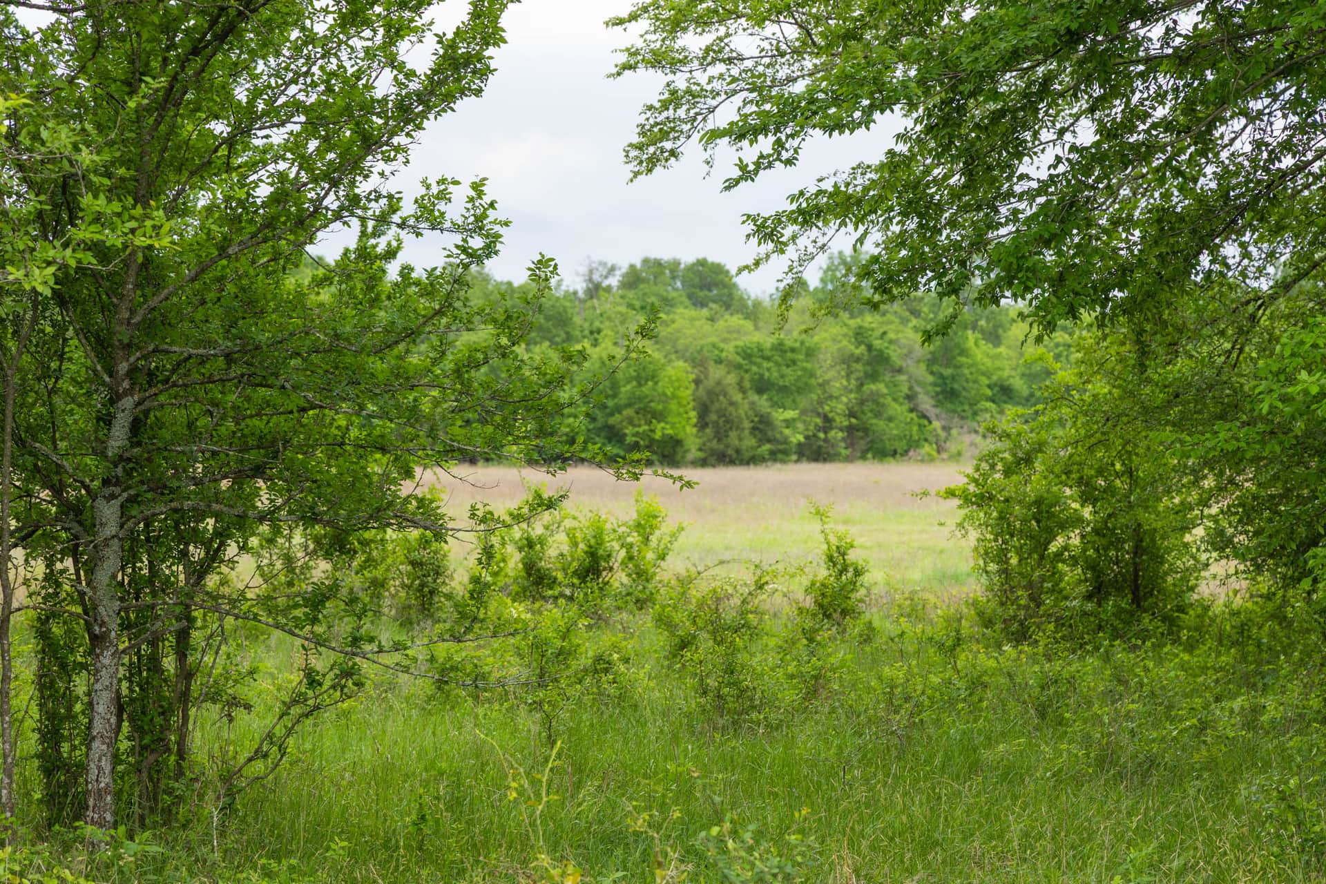 Harmony Hills, Tract 27, 5.68 acres in Pittsburg County, Oklahoma (photo 1 of 16)