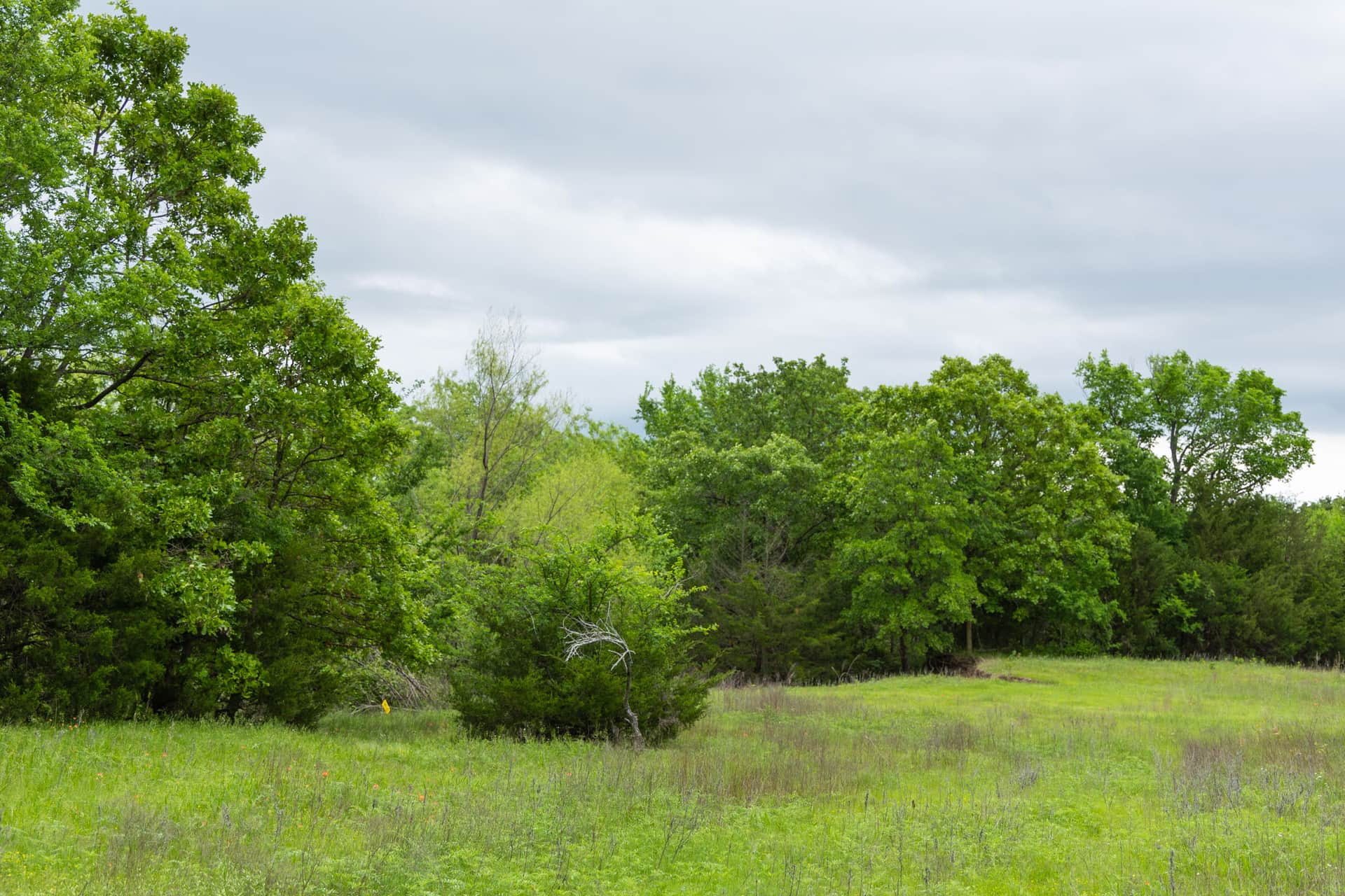 Harmony Hills, Tract 14, 4.88 acres in Pittsburg County, Oklahoma (photo 1 of 12)