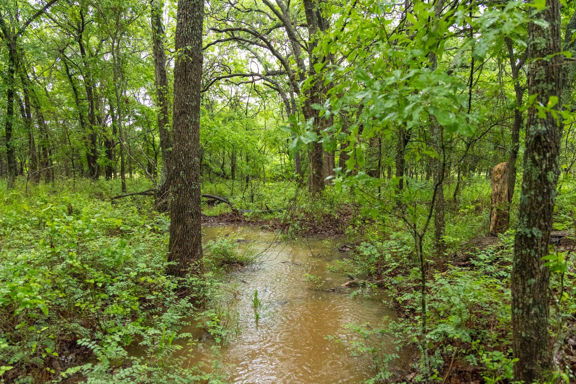 Harmony Hills, Tract 16, 5.28 acres in Pittsburg County, Oklahoma (photo 1 of 15)