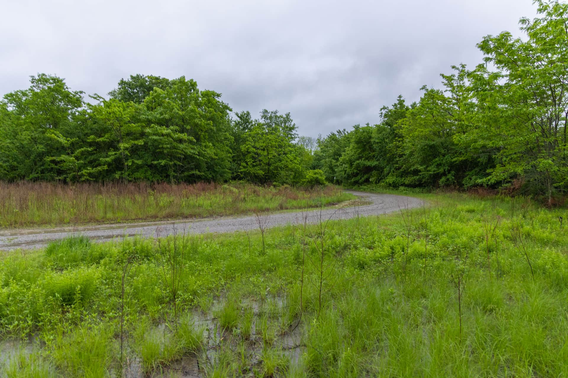 Harmony Hills, Tract 19, 5.62 acres in Pittsburg County, Oklahoma (photo 1 of 12)