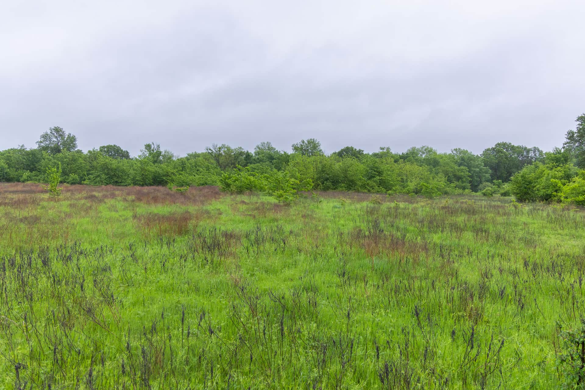Harmony Hills, Tract 21, 5.73 acres in Pittsburg County, Oklahoma (photo 1 of 11)