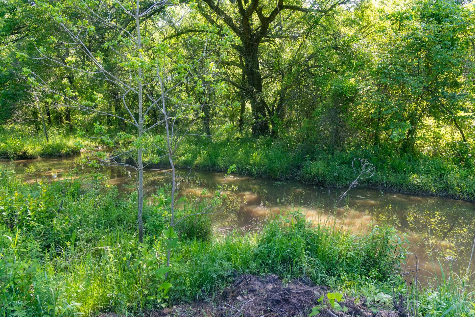 Harmony Hills, Tract 23, 5.95 acres in Pittsburg County, Oklahoma (photo 1 of 16)