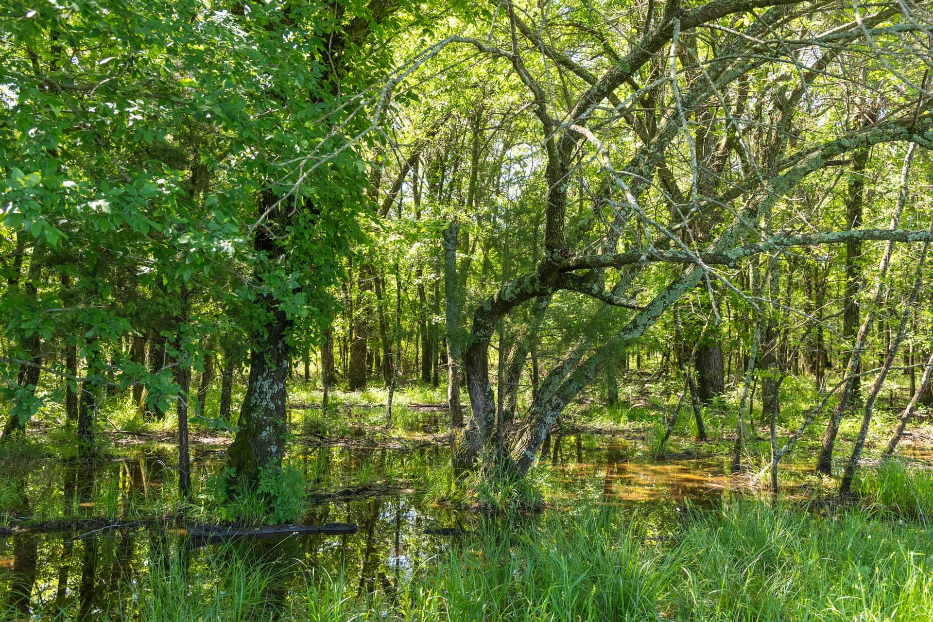 Harmony Hills, Tract 33, 6.13 acres in Pittsburg County, Oklahoma (photo 1 of 19)
