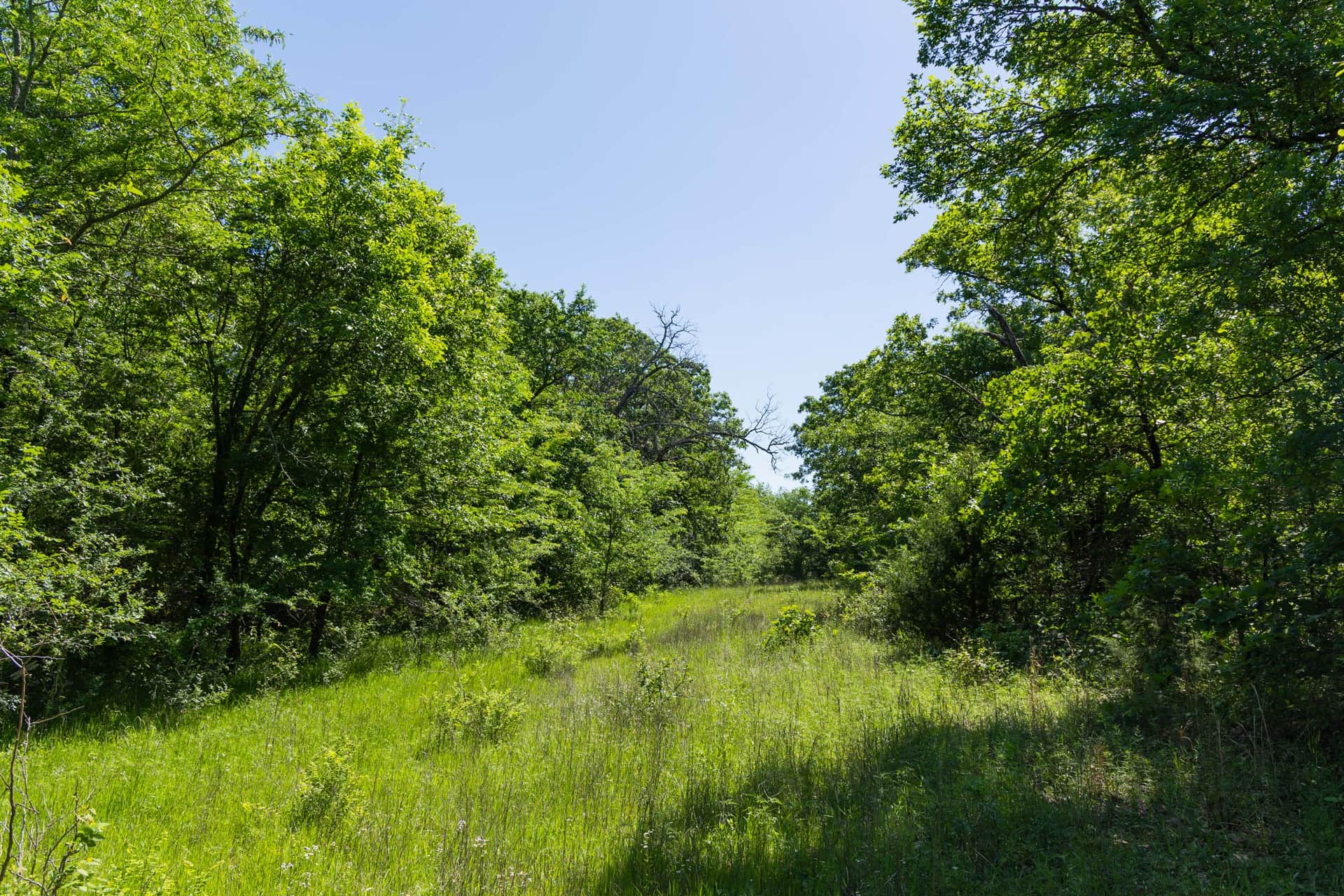 Harmony Hills, Tract 34, 7.66 acres in Pittsburg County, Oklahoma (photo 1 of 12)