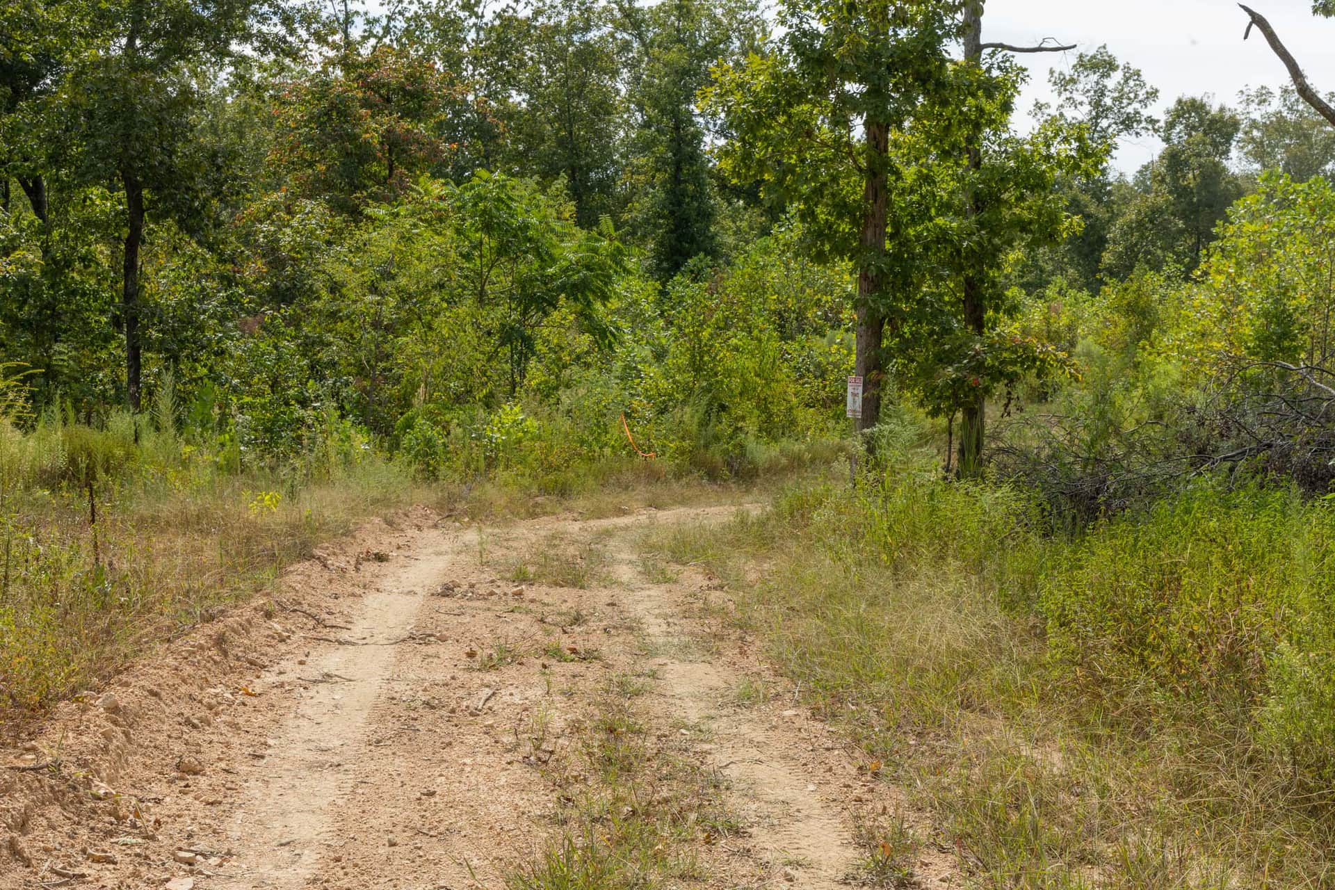 Big White Oak, Tract 74, 9.94 acres in Perry County, Tennessee (photo 1 of 11)