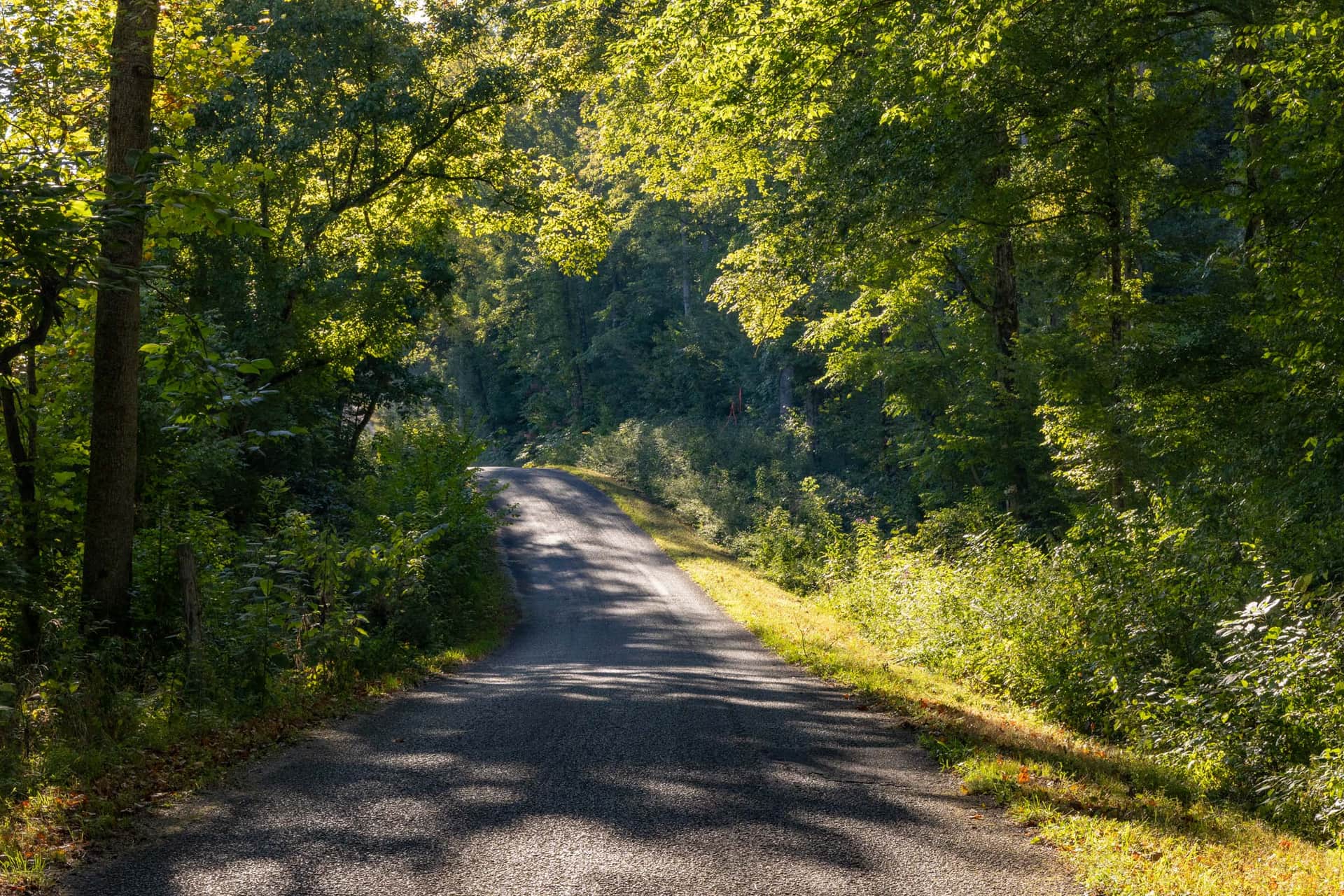 Big White Oak, 5.05 to 15.55 acres in Perry County, Tennessee (photo 1 of 27)