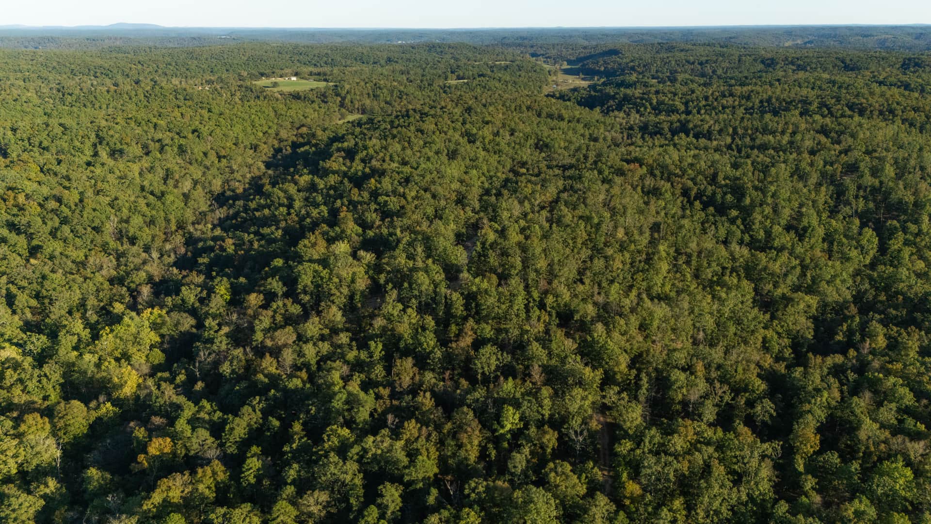 Fox Hollow, 5.41 to 6.78 acres in Reynolds County, Missouri (photo 1 of 16)