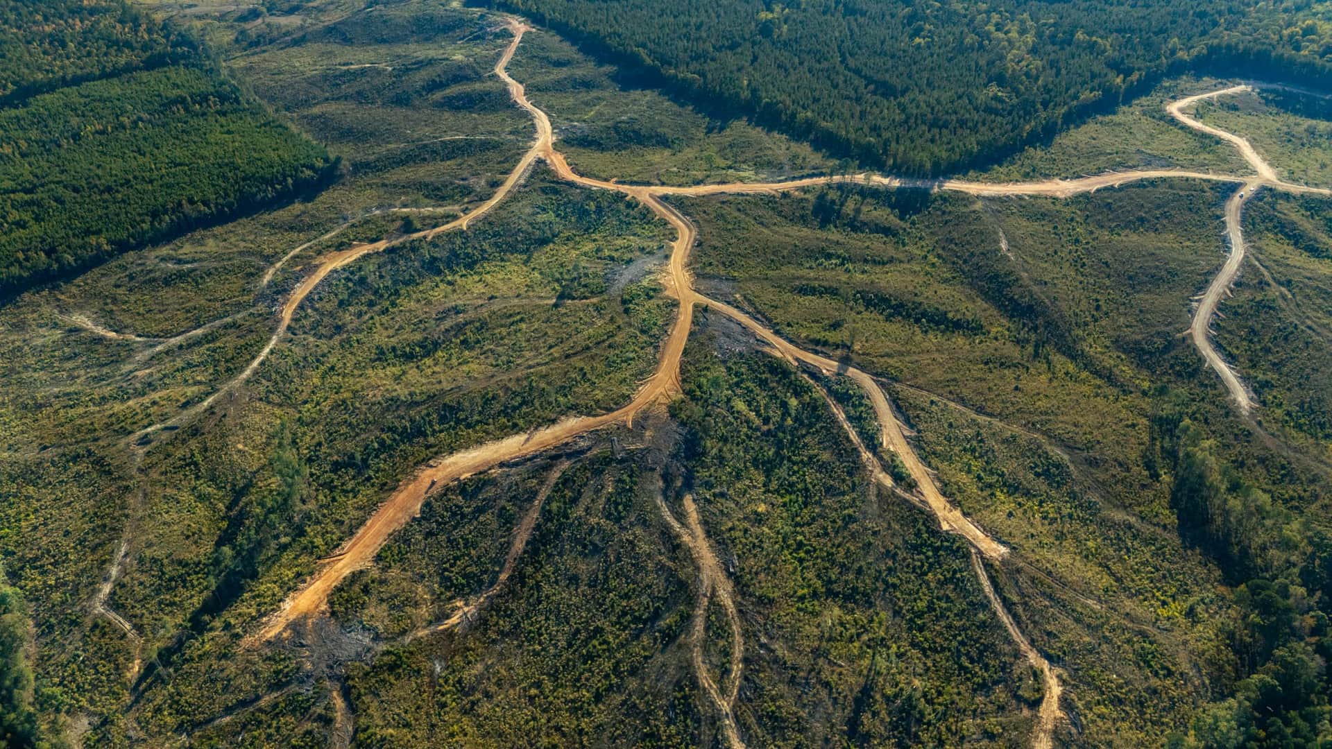 Meyer’s Ridge, 4.81 to 13.08 acres in Attala County, Mississippi (photo 1 of 21)