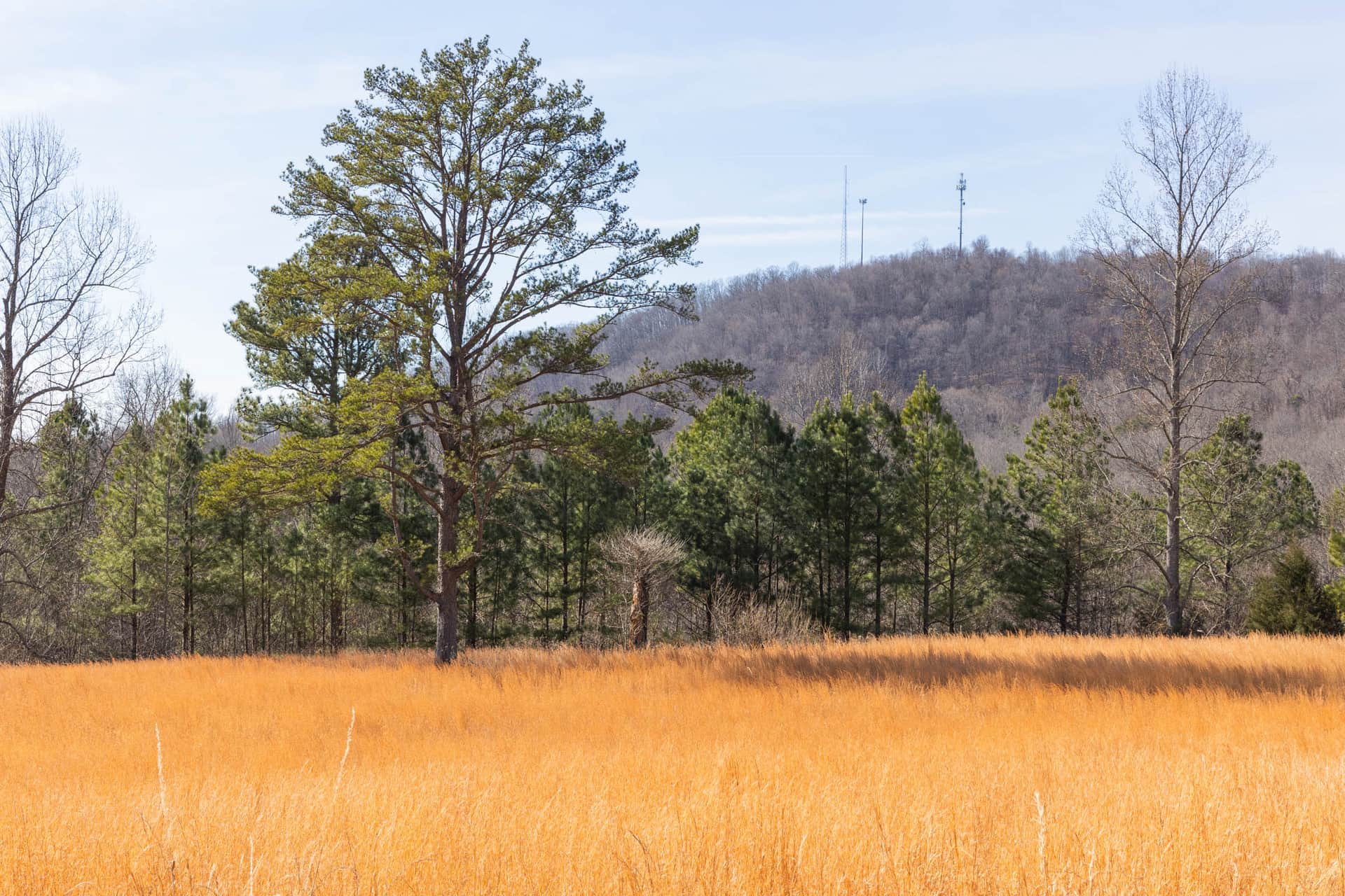 Jade Pass, 5.05 to 23.09 acres in Whitley County, Kentucky (photo 1 of 15)