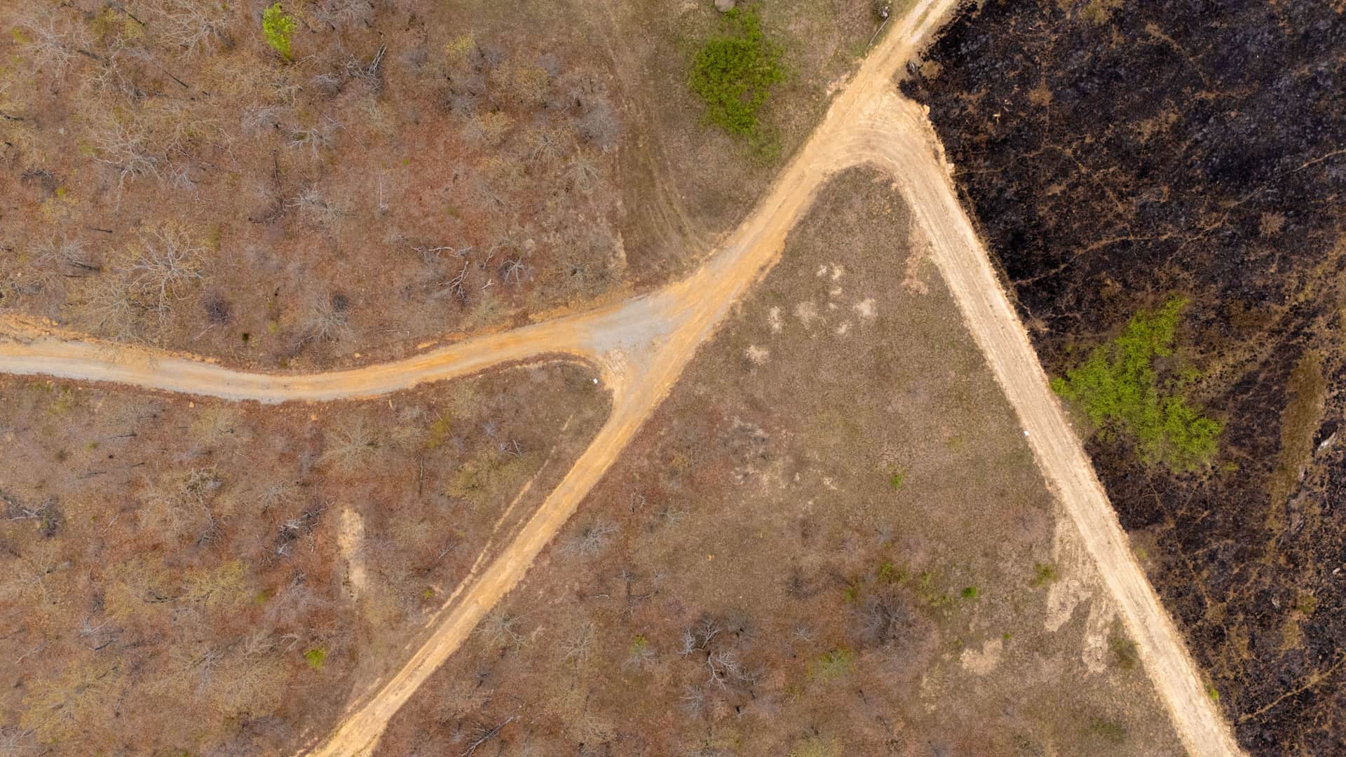 JLH Estates, Tract 1, 6.04 acres in Okfuskee County, Oklahoma (photo 1 of 14)