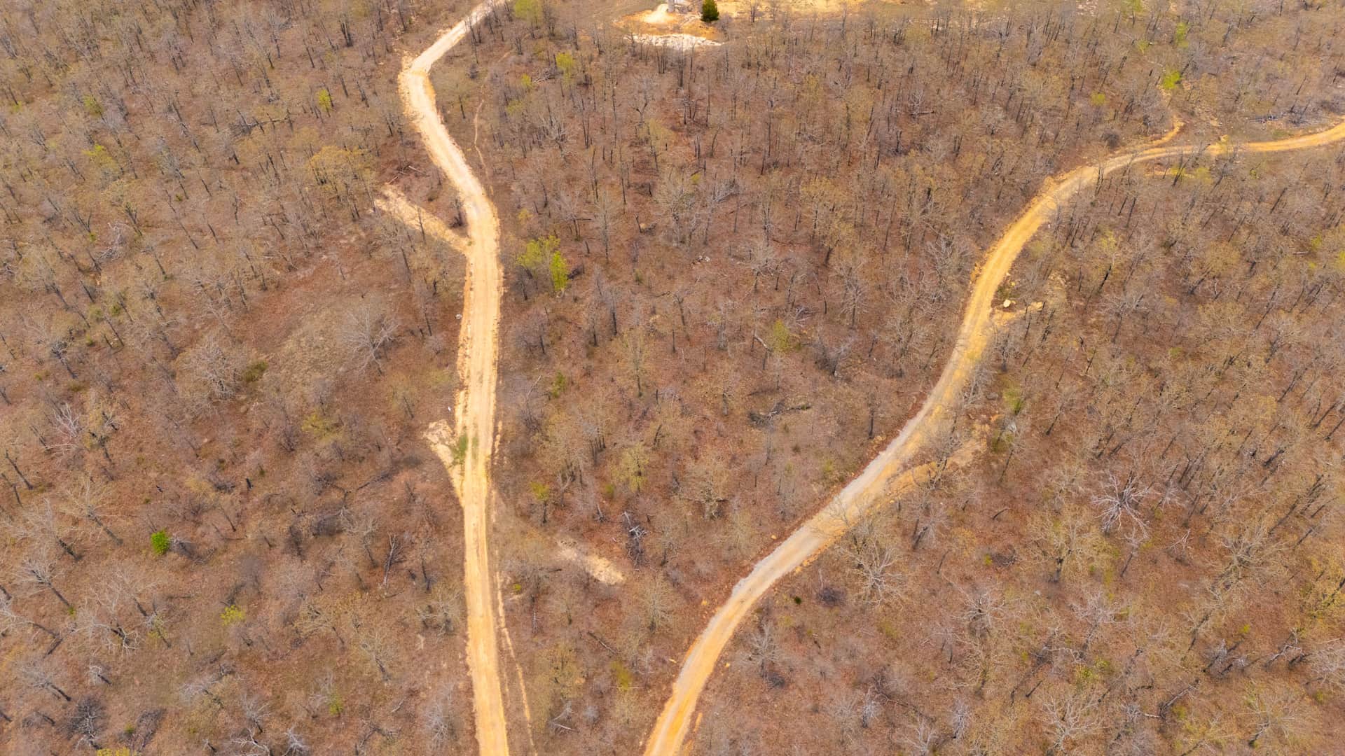 JLH Estates, Tract 9, 5.95 acres in Okfuskee County, Oklahoma (photo 1 of 15)
