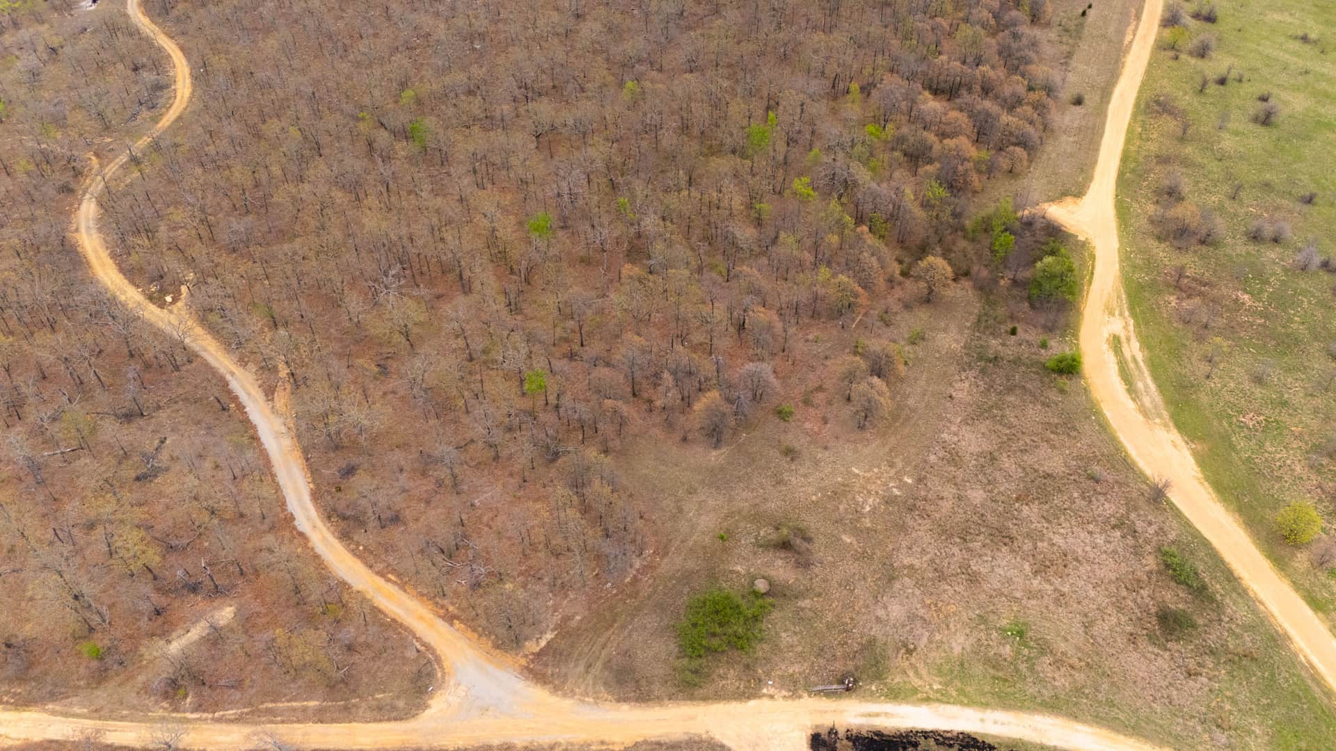 JLH Estates, Tract 14, 5.84 acres in Okfuskee County, Oklahoma (photo 1 of 14)