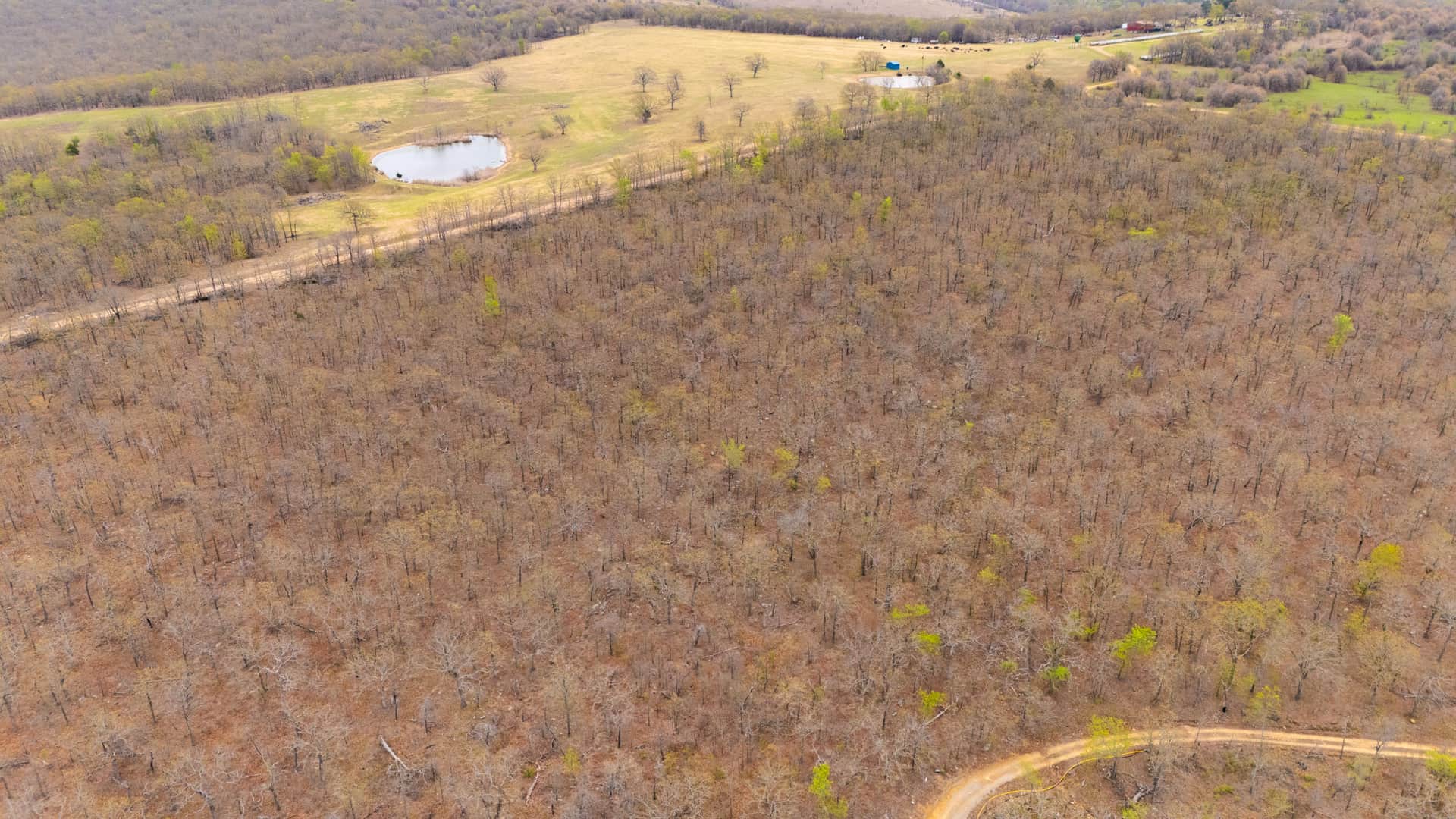 JLH Estates, Tract 3, 4.92 acres in Okfuskee County, Oklahoma (photo 1 of 14)