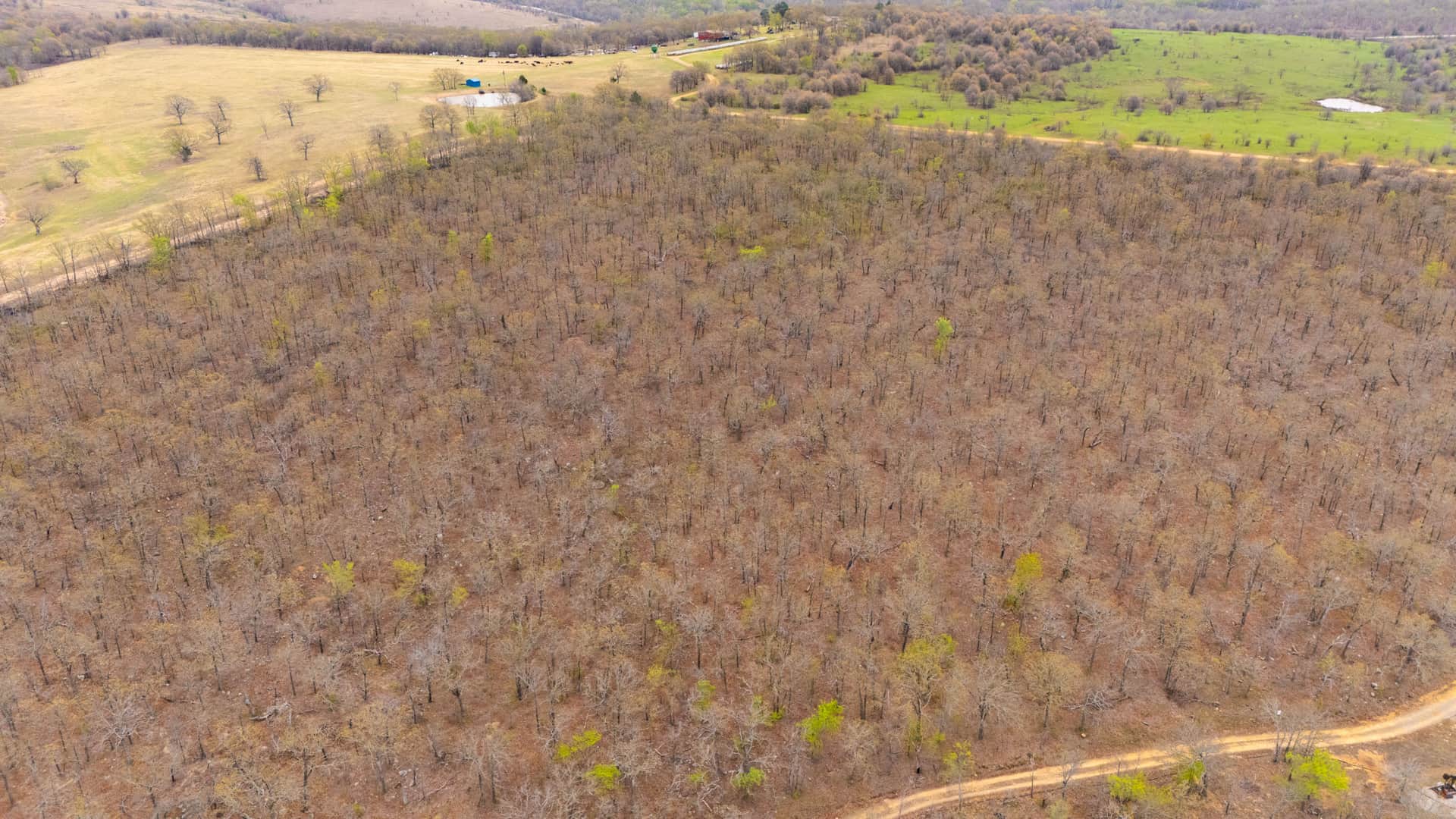 JLH Estates, Tract 2, 5.52 acres in Okfuskee County, Oklahoma (photo 1 of 14)