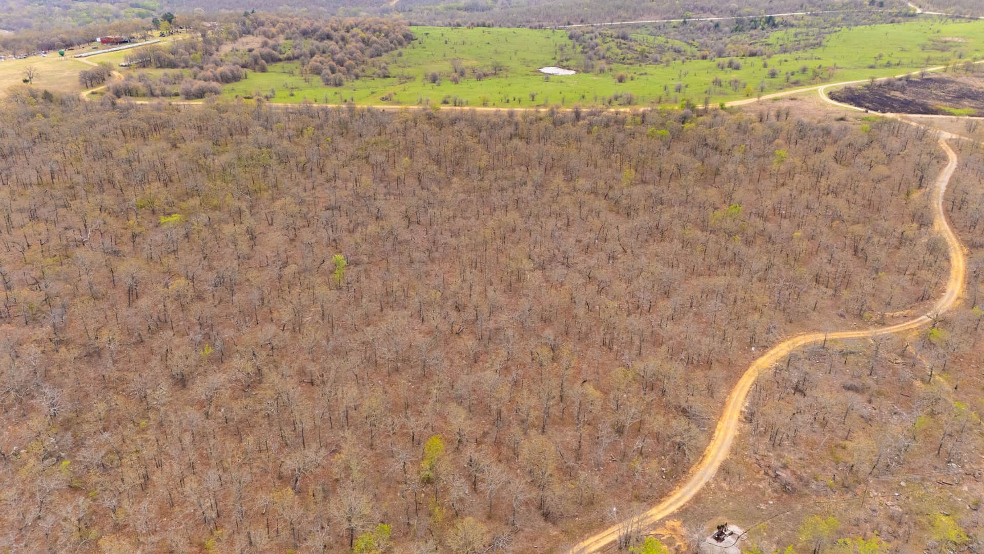 JLH Estates, Tract 15, 5.22 acres in Okfuskee County, Oklahoma (photo 1 of 13)