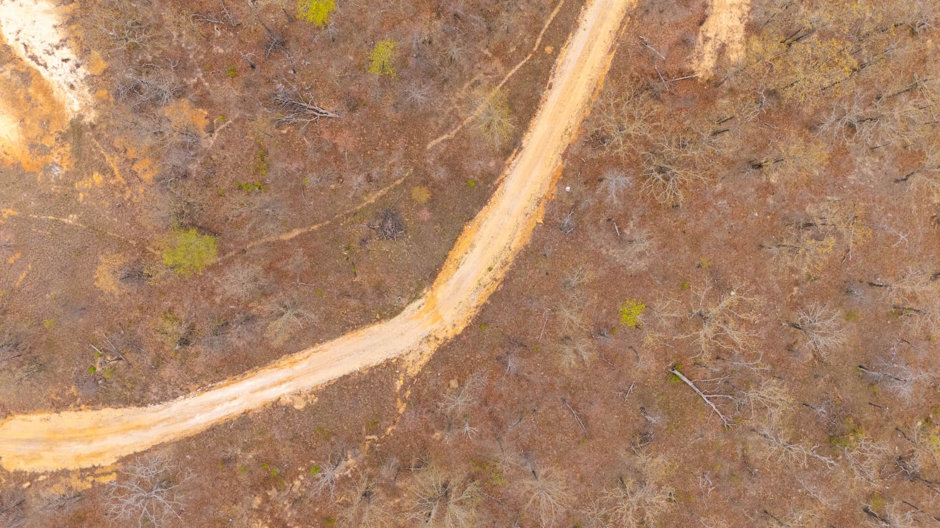 JLH Estates, Tract 4, 5.23 acres in Okfuskee County, Oklahoma (photo 1 of 14)