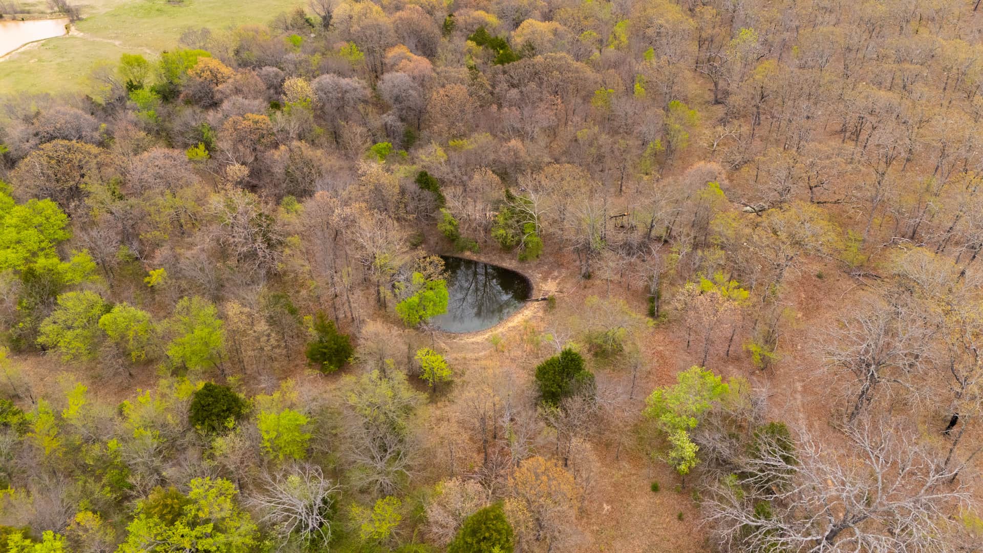 JLH Estates, Tract 7, 3.80 acres in Okfuskee County, Oklahoma (photo 1 of 16)