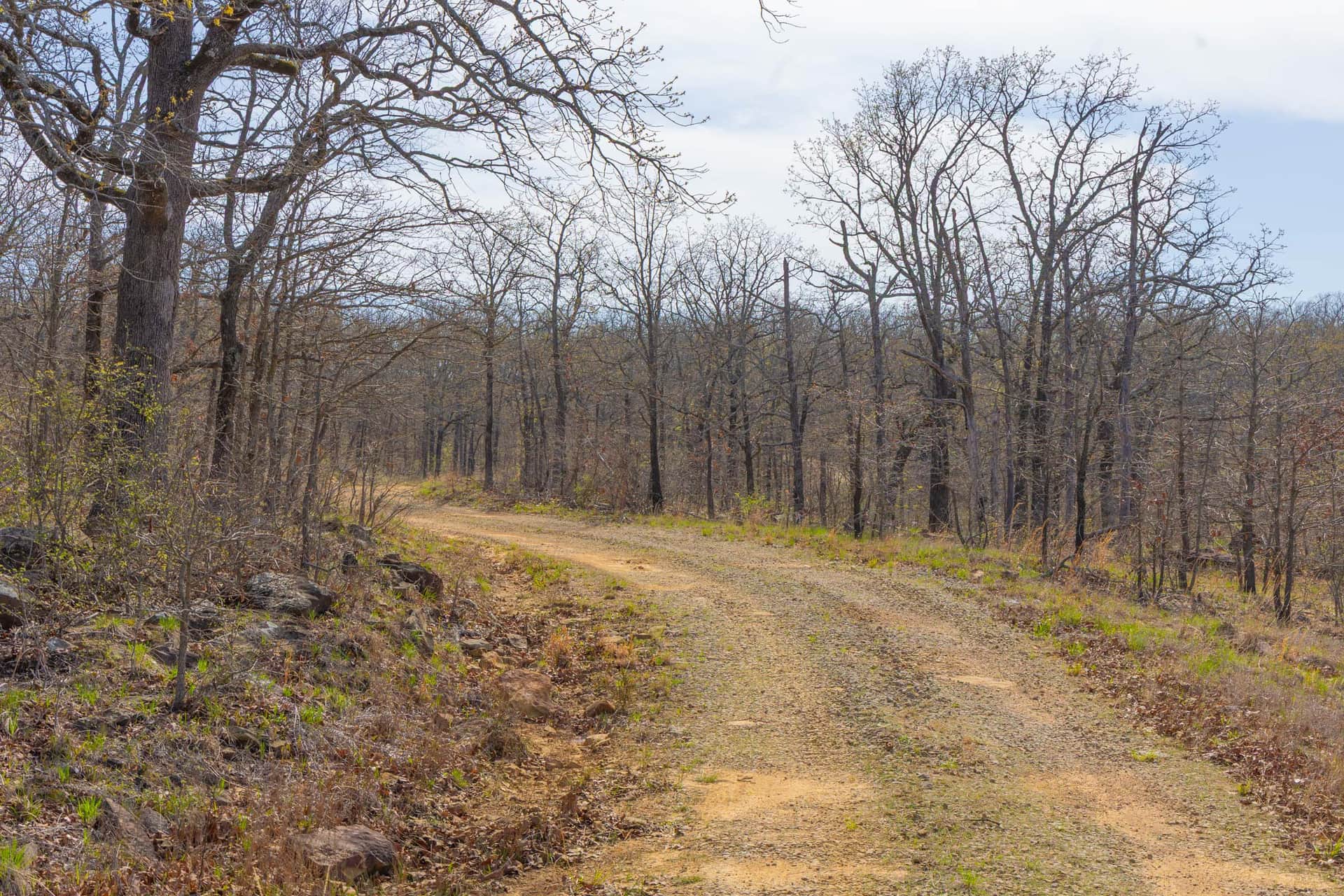 JLH Estates, Tract 18, 6.79 acres in Okfuskee County, Oklahoma (photo 1 of 11)
