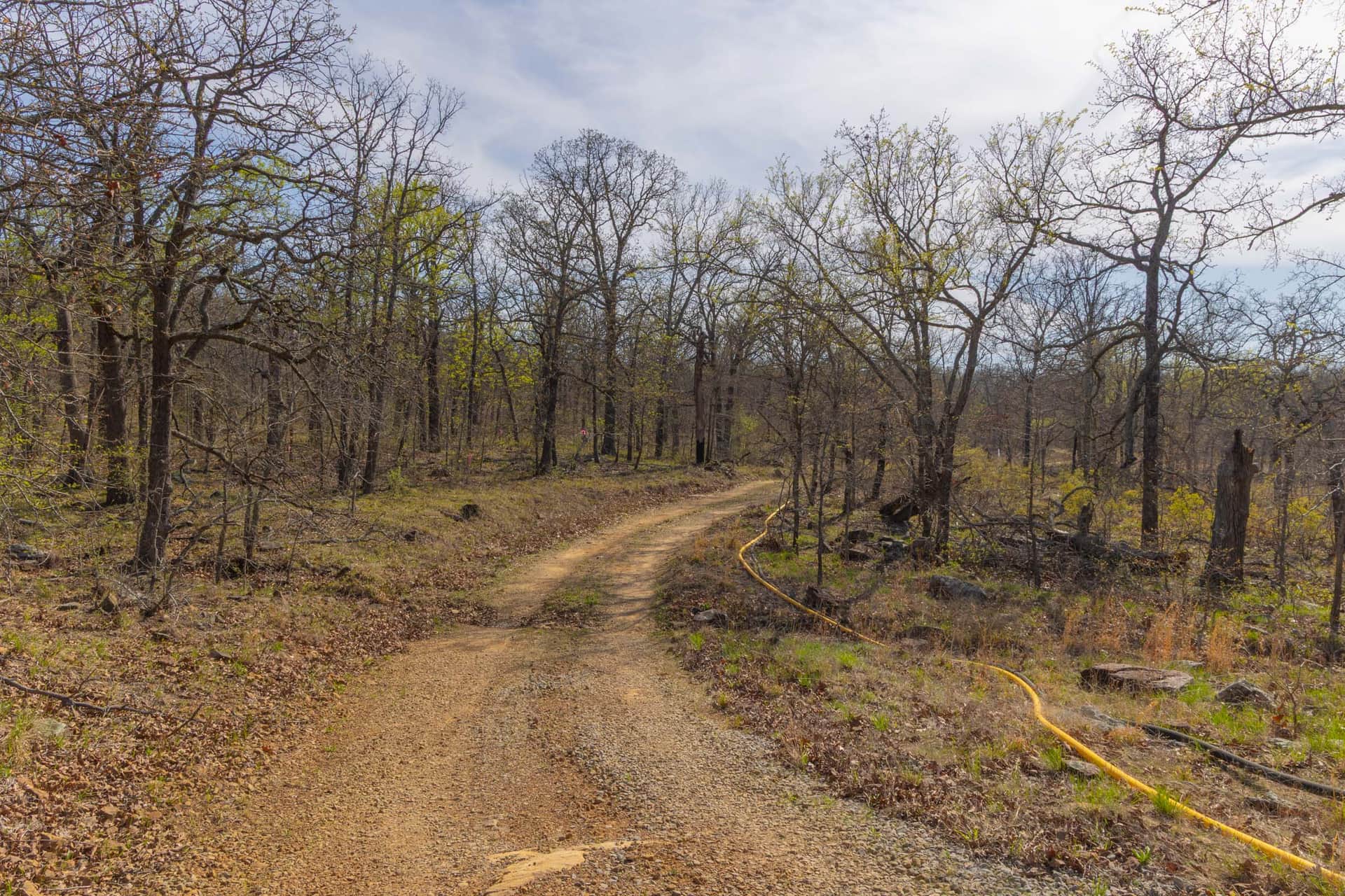 JLH Estates, Tract 19, 5.44 acres in Okfuskee County, Oklahoma (photo 1 of 11)