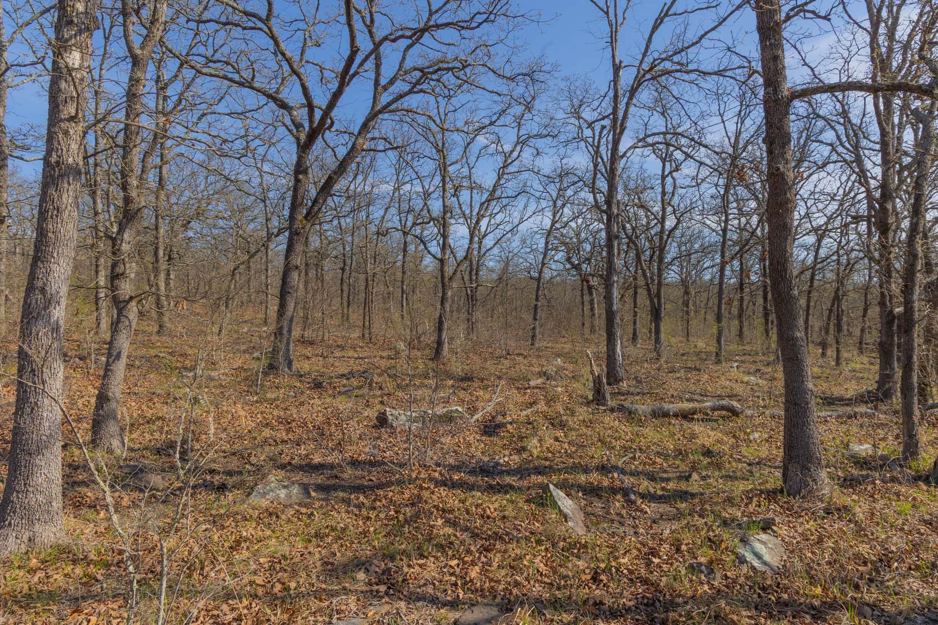JLH Estates, Tract 20, 5.96 acres in Okfuskee County, Oklahoma (photo 1 of 13)