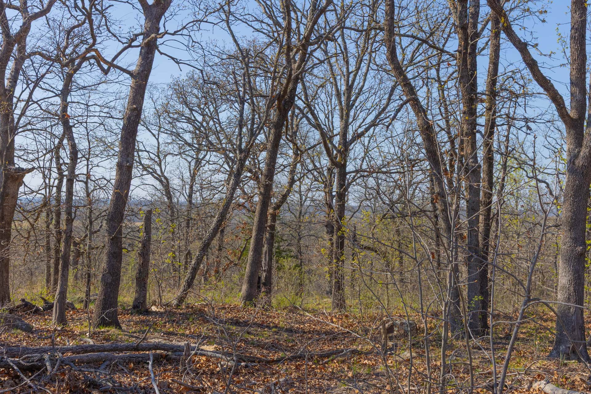 JLH Estates, Tract 22, 5.10 acres in Okfuskee County, Oklahoma (photo 1 of 11)