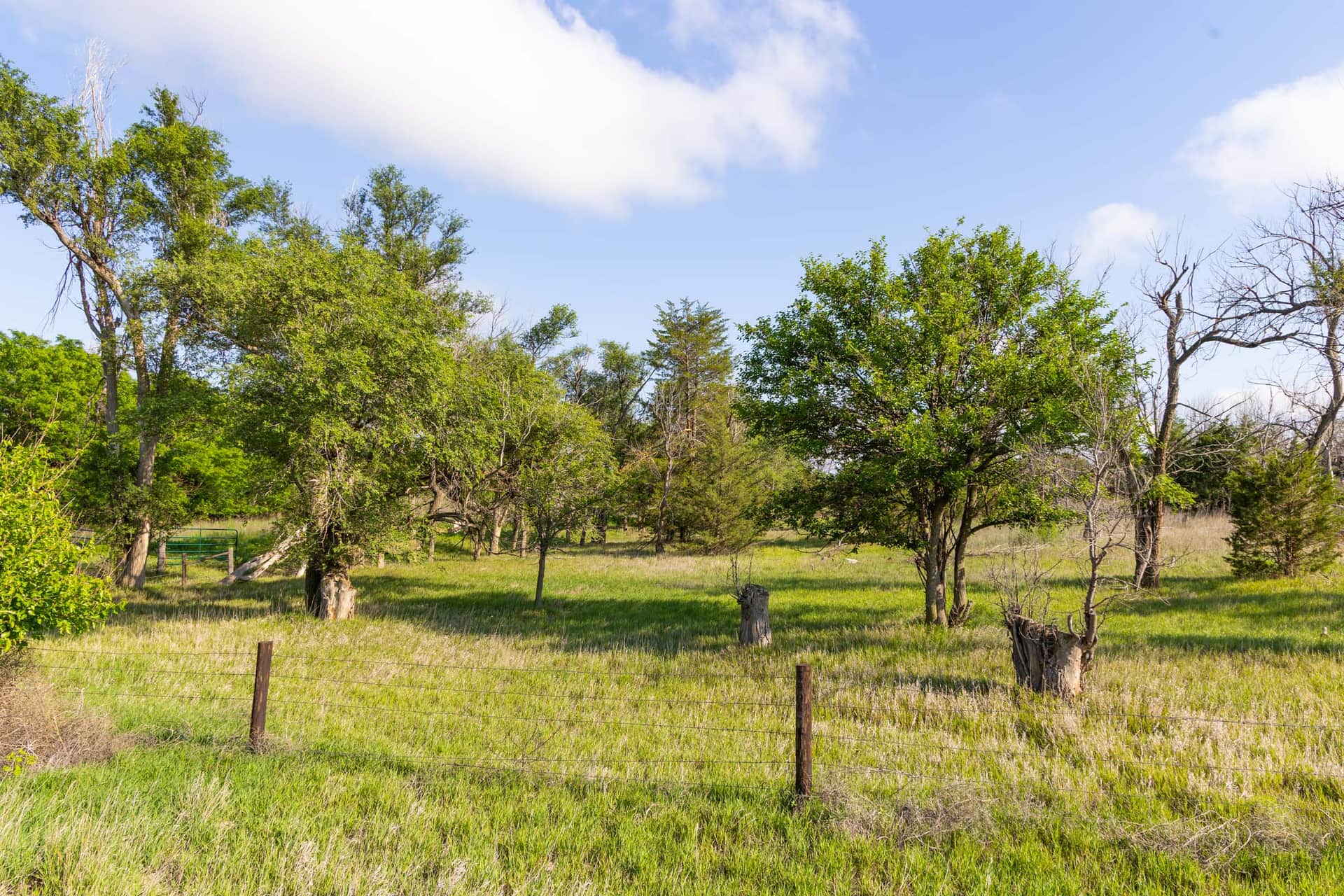 Crandall's Corner, Tract 3, 5.17 acres in Graham County, Kansas (photo 1 of 13)