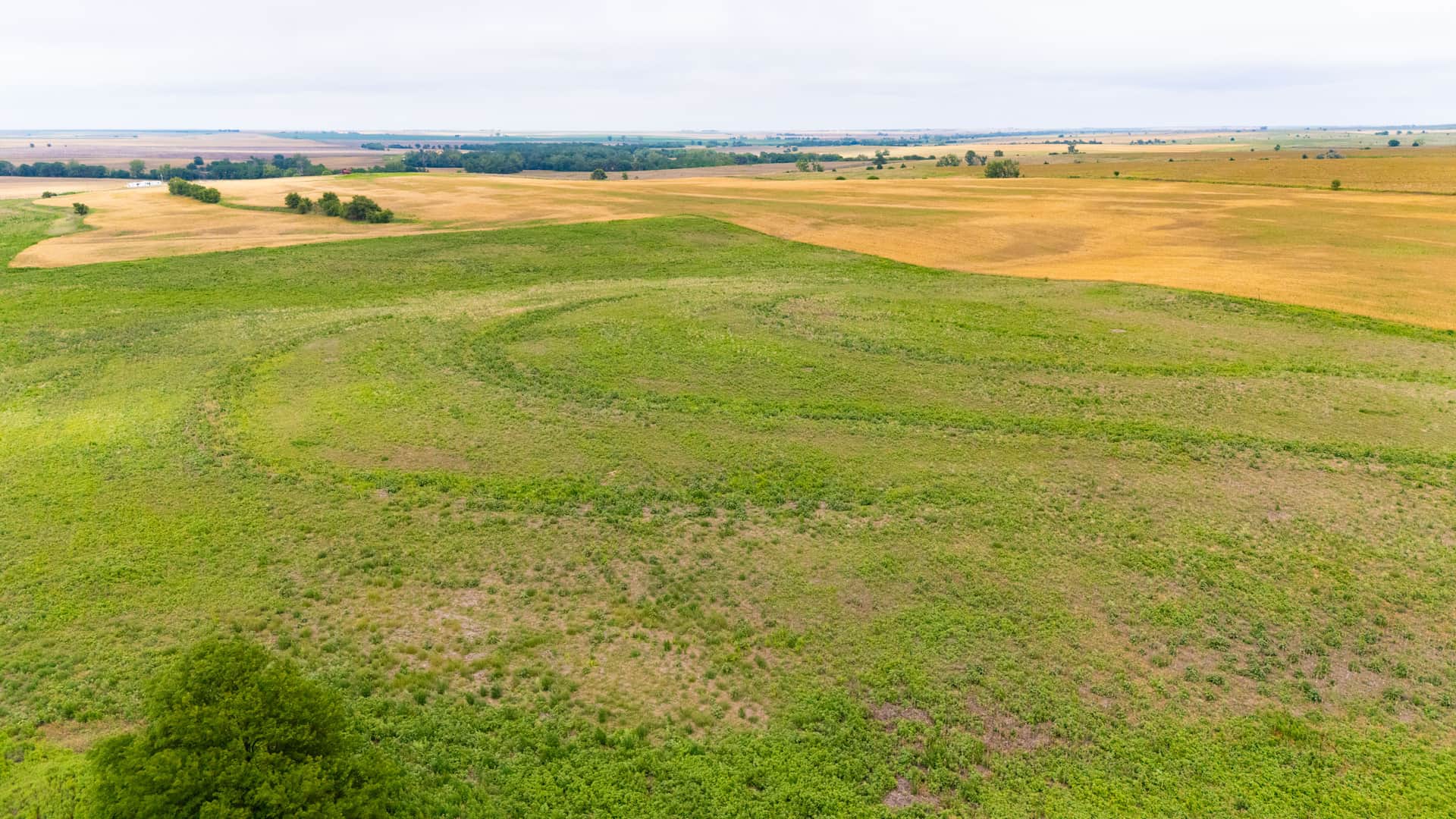 Crandall's Corner, Tract 6, 5.74 acres in Graham County, Kansas (photo 1 of 11)