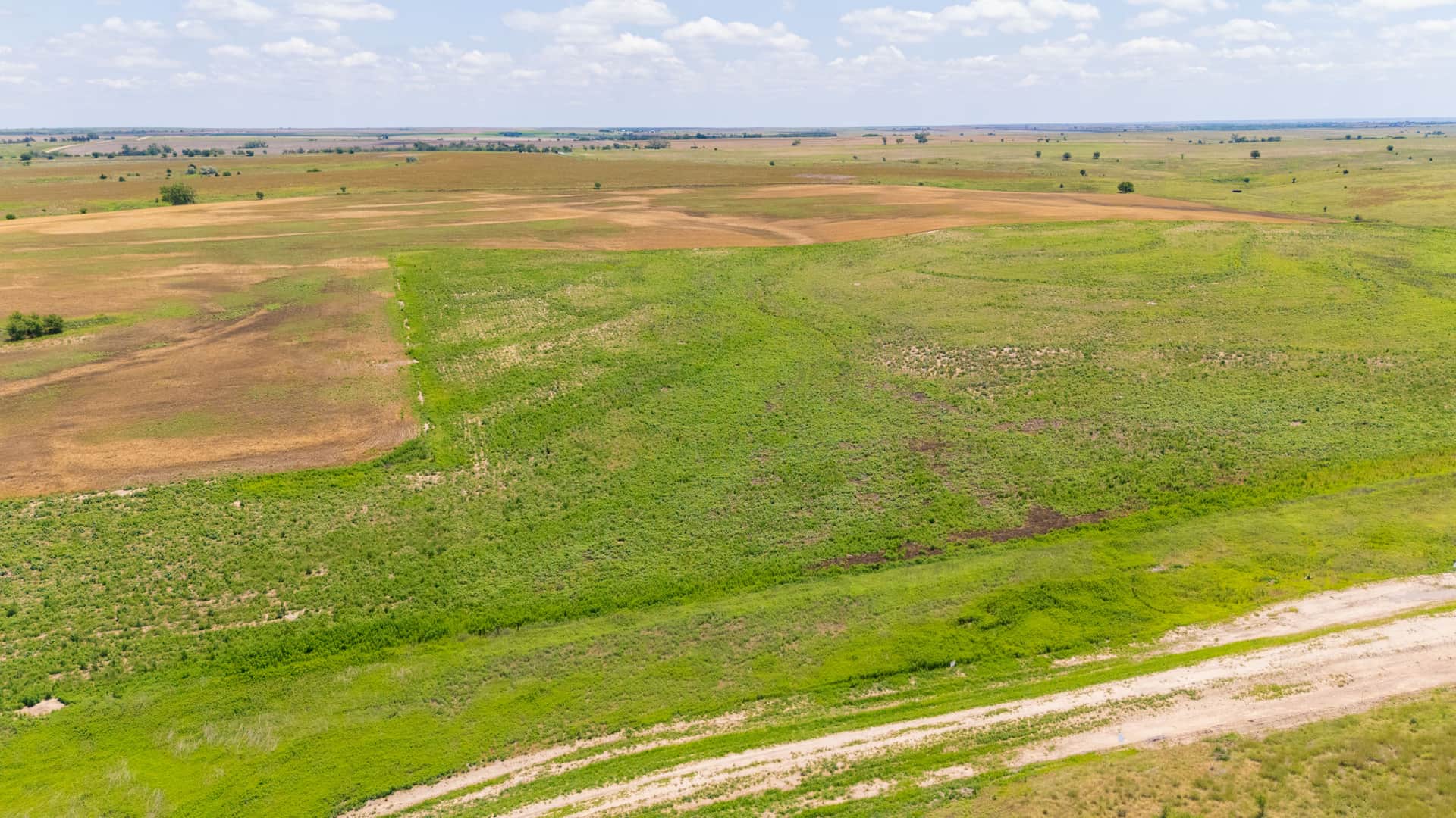 Crandall's Corner, Tract 5, 5.55 acres in Graham County, Kansas (photo 1 of 12)