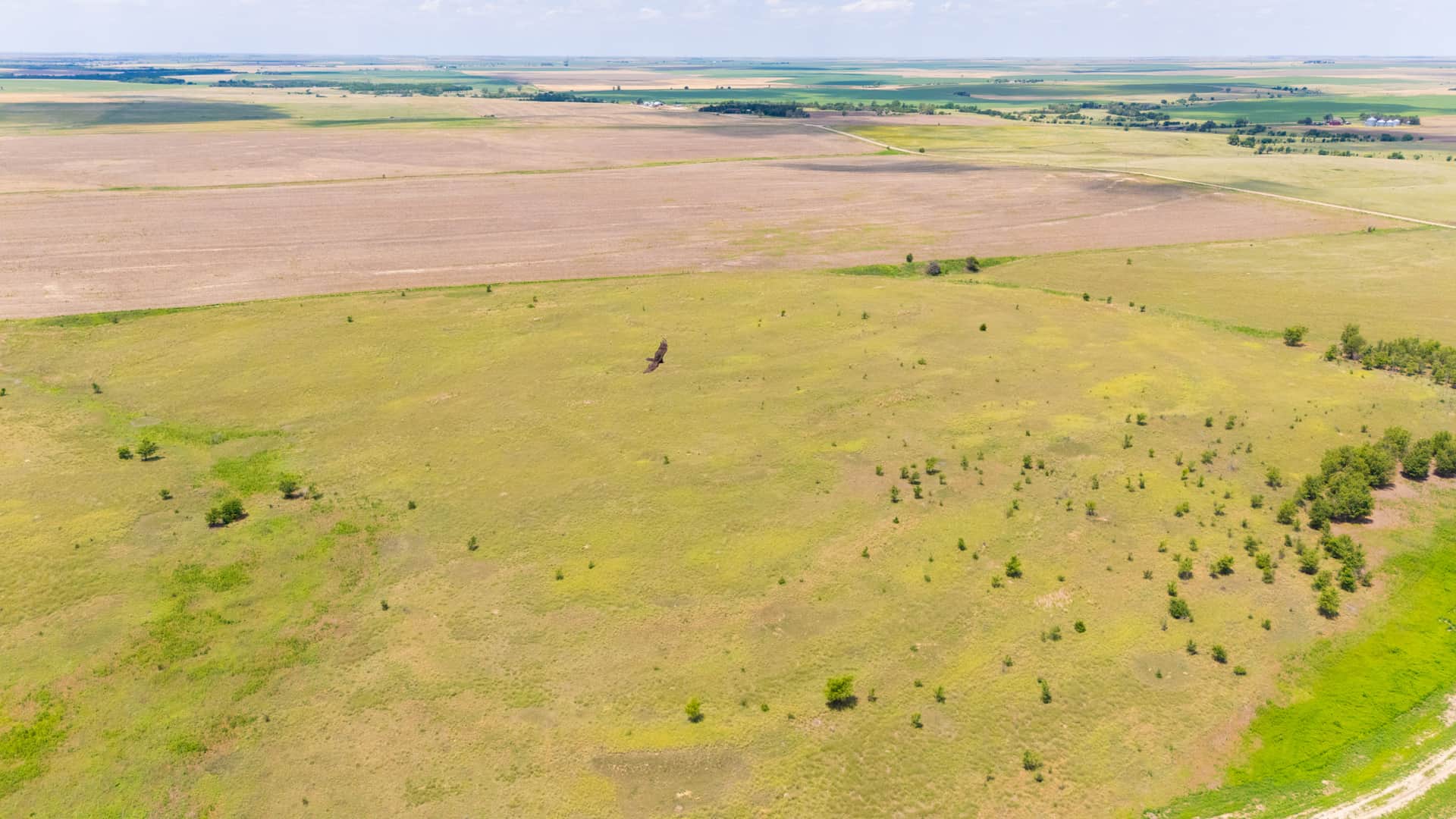 Crandall's Corner, Tract 10, 5.75 acres in Graham County, Kansas (photo 1 of 8)